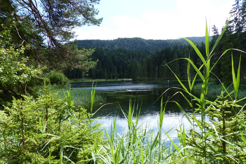 Weidacher See