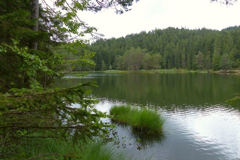 Mösernsee