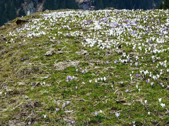 Geburtstagsausflug ins Zillertal 7