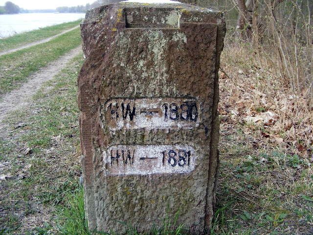 NSG Ketscher Rheininsel 2