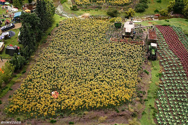 HAMBURG-SPEICHERSTADT > Miniatur Wunderland > Harz > Bett im Sonnenblumenfeld