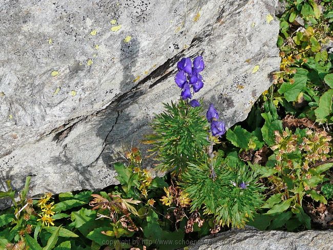 Huttwil und andere Schweizer Höhepunkte