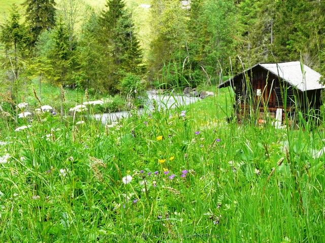 SCHWEIZ>Berner Oberland-bei Thun