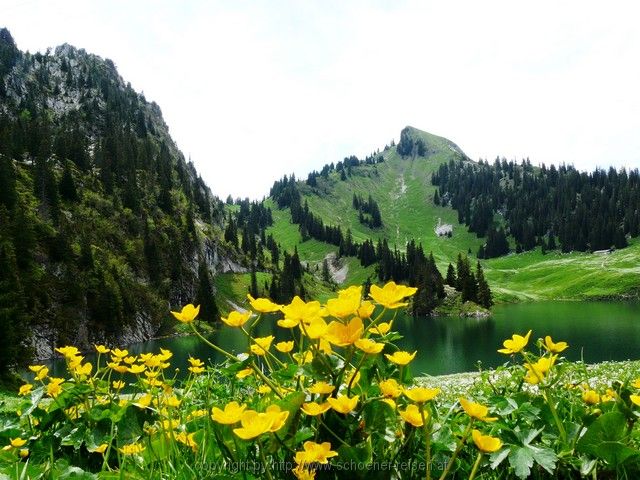 SCHWEIZ>Berner Oberland-bei Thun