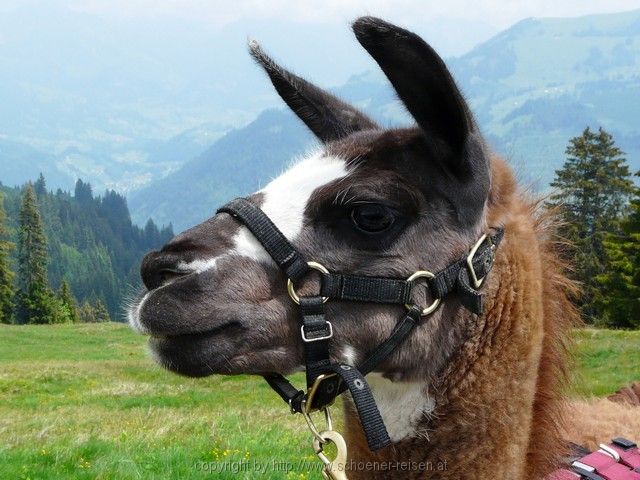 SCHWEIZ>Berner Oberland-bei Thun