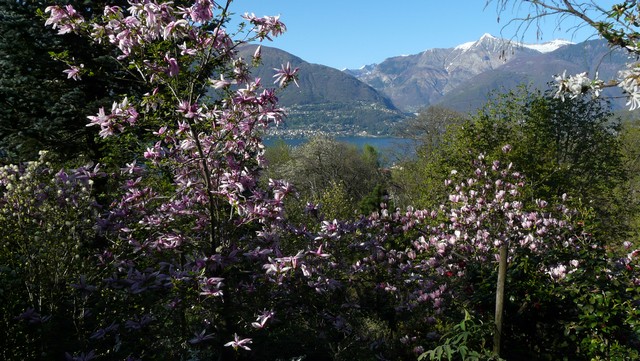 Tessin, eine Reise in den Sommer , Teil 2 Vielfalt und Schönheit, Verzascatal