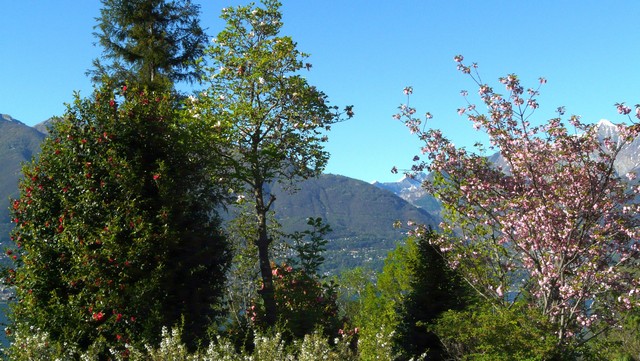 Tessin, eine Reise in den Sommer , Teil 2 Vielfalt und Schönheit, Verzascatal 4