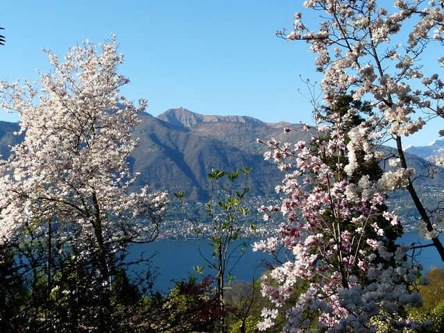 Tessin, eine Reise in den Sommer , Teil 2 Vielfalt und Schönheit, Verzascatal 2