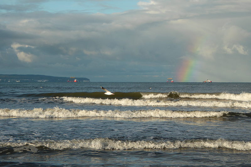 Binz > Nach der Strumflut