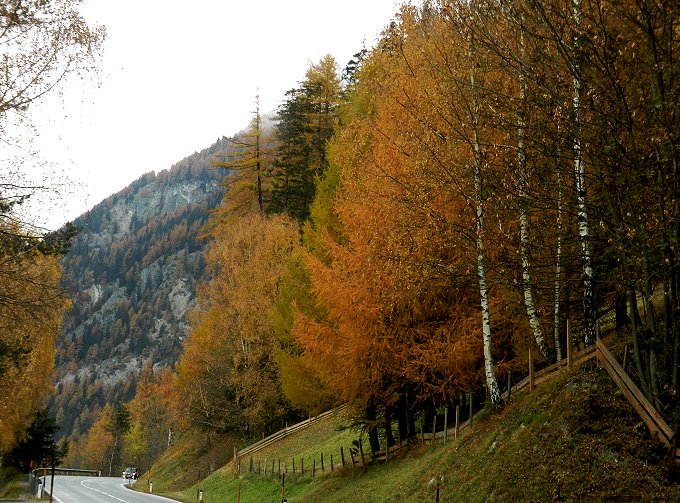 Straße zum Felbertauern 2