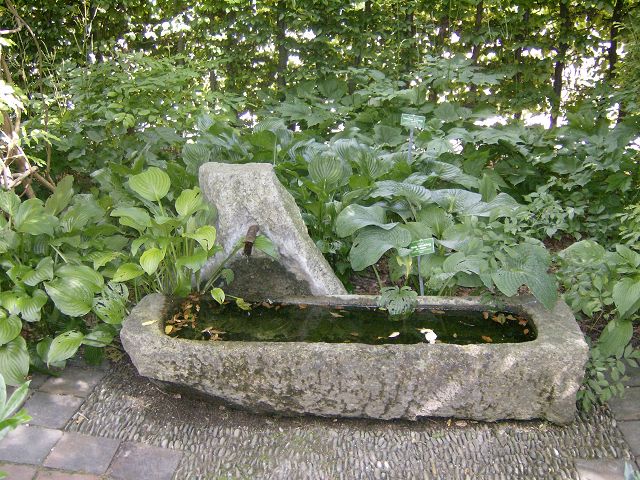 AUGSBURG > BotanischerGarten12