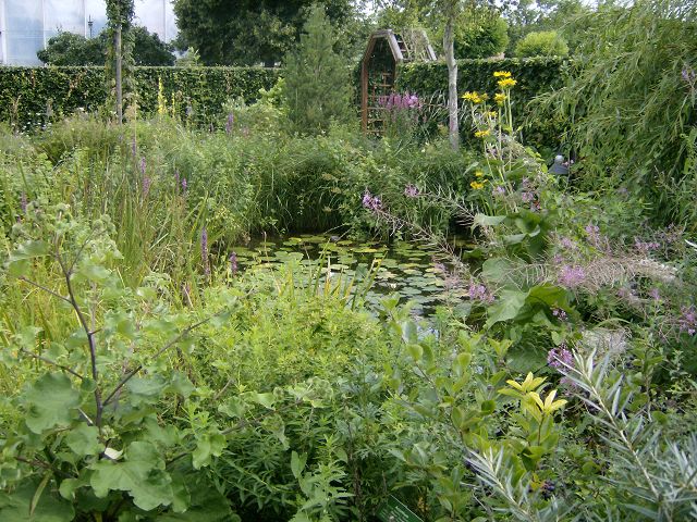 AUGSBURG > BotanischerGarten26 > Teich