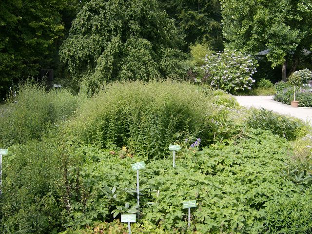 AUGSBURG > BotanischerGarten31