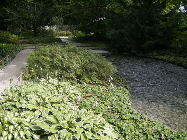 AUGSBURG > BotanischerGarten56 > Japanischer Garten