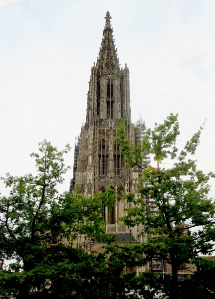 Münster1c