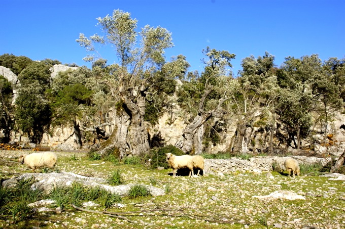 Puig Roig Wanderung 2