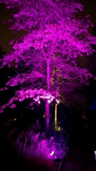 Nacht der Biodiversität, Tierpark Hellabrunn