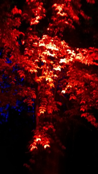 Nacht der Biodiversität, Tierpark Hellabrunn