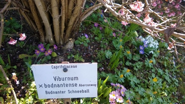 Bot. Garten München