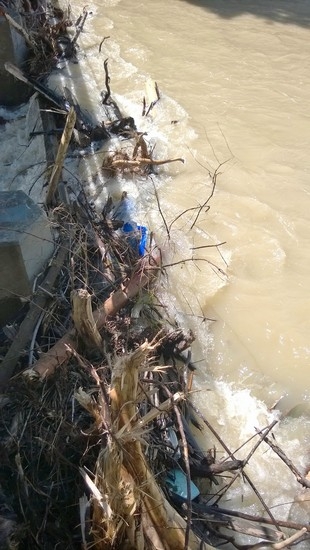 Hochwasser Isar