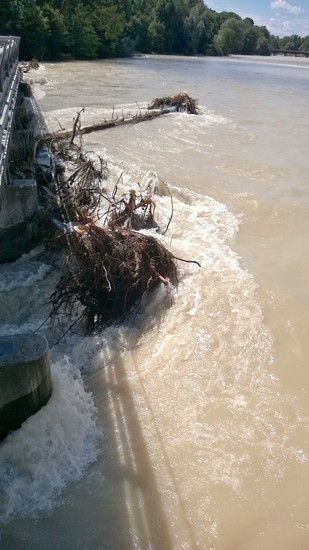 Hochwasser Isar