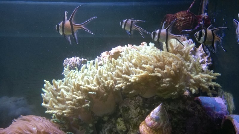 Nacht der Biodiversität, Tierpark Hellabrunn