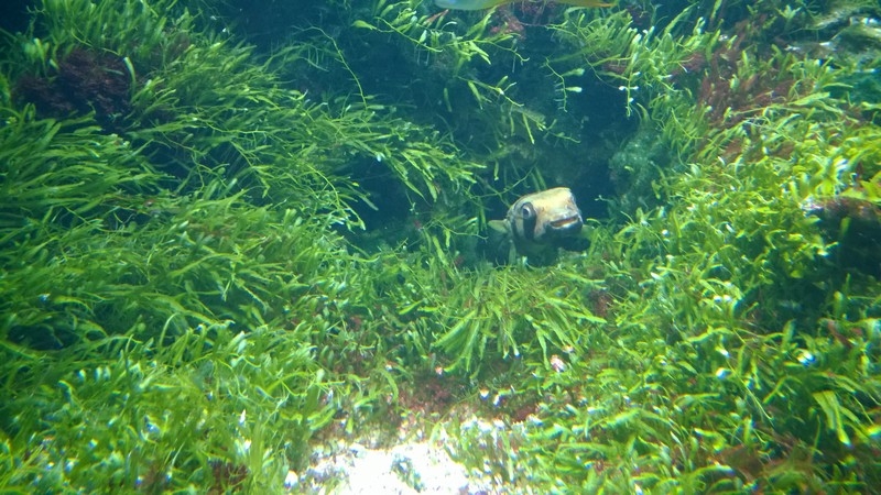 Nacht der Biodiversität, Tierpark Hellabrunn