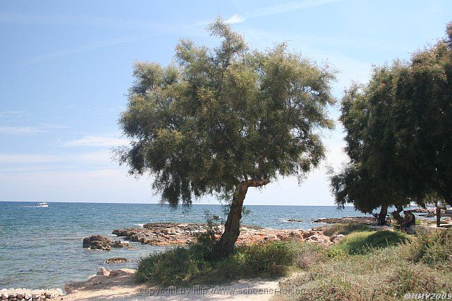 CALA BONA > Naturstrand im Norden