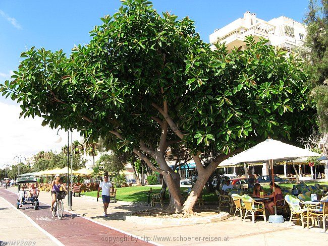 CALA MILLOR > Strandpromenade