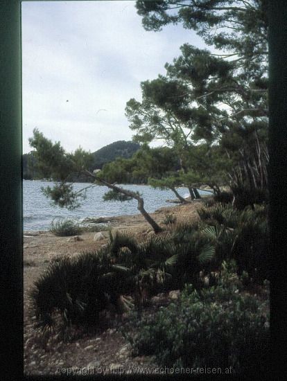 HALBINSEL FORMENTOR > Hotel Formentor > Strand