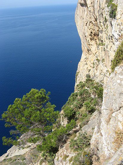 HALBINSEL FORMENTOR > Mirador de la Creueta > Impression