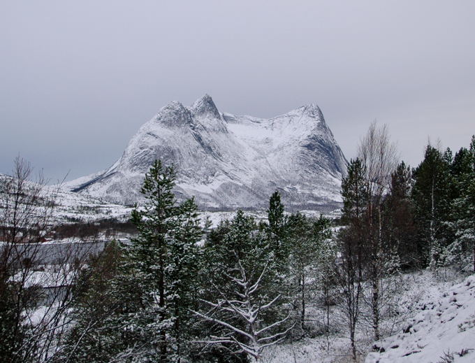 NORWEGEN > Walsafari