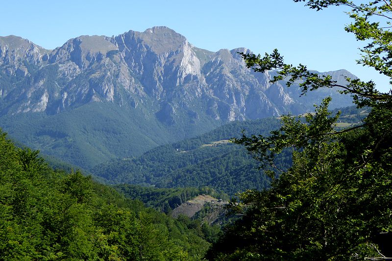 Sutjeska