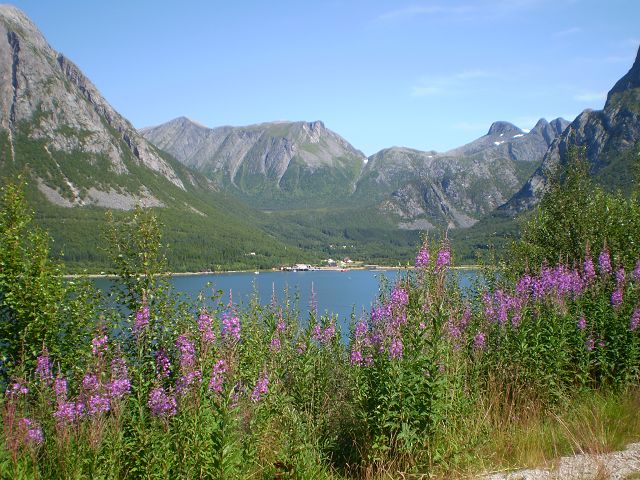 Sommer in Norwegen