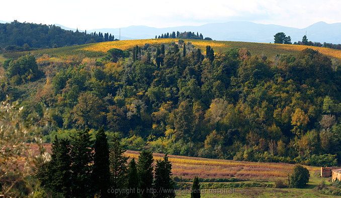 Montaione > TONDA > Herbst