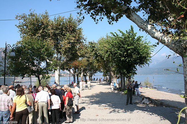 ISOLA SUPERIORE DEI PESCATORI > Allee im Lago Maggiore