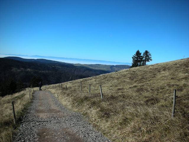 FELDBERG > aa 14 Wanderweg zur Wilhelmshütte