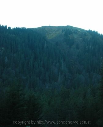 FELDBERG > aa 32 Blick von der Zastlerhütte zum Feldberggipel