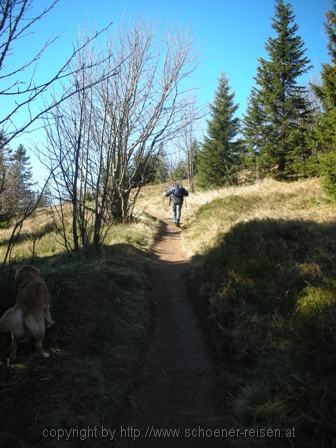 FELDBERG > a 4 Wanderweg zum Feldberggipfelk