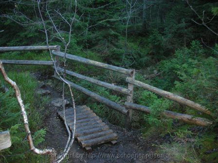 FELDBERG > aa 44 Wanderweg zum Feldsee