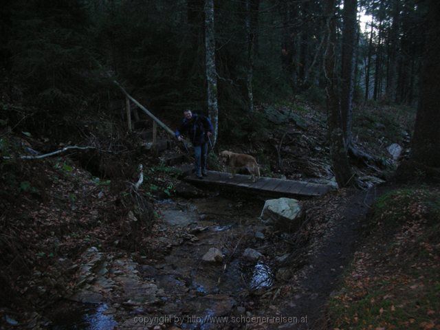 FELDBERG > aa 46 Wanderweg zum Feldsee