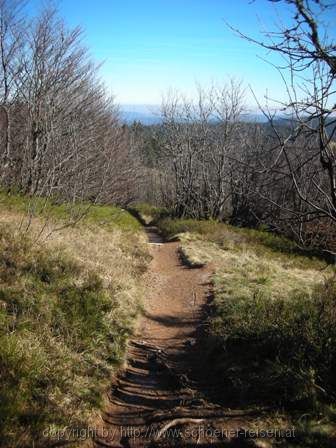 FELDBERG > a 5 Wanderweg zum Feldberggipfelk