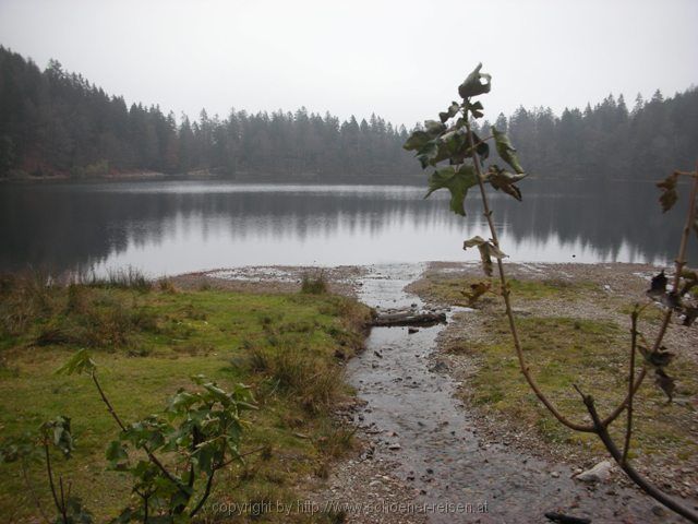 FELDBERG > Feldsee