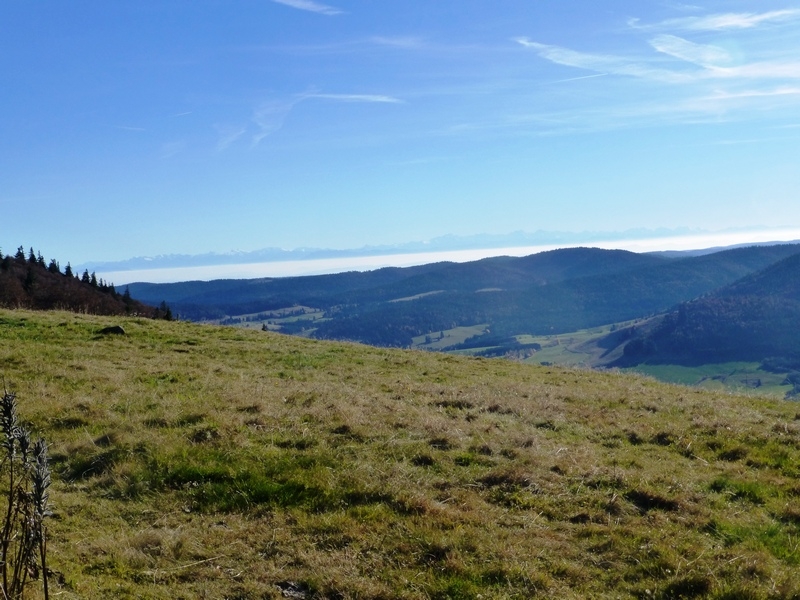 Im Südschwarzwald bei Bernau