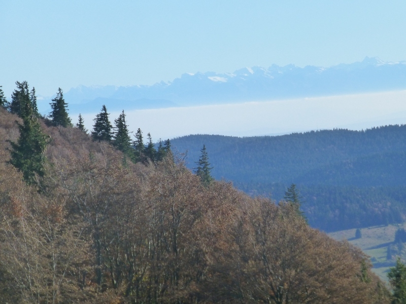 Im Südschwarzwald bei Bernau