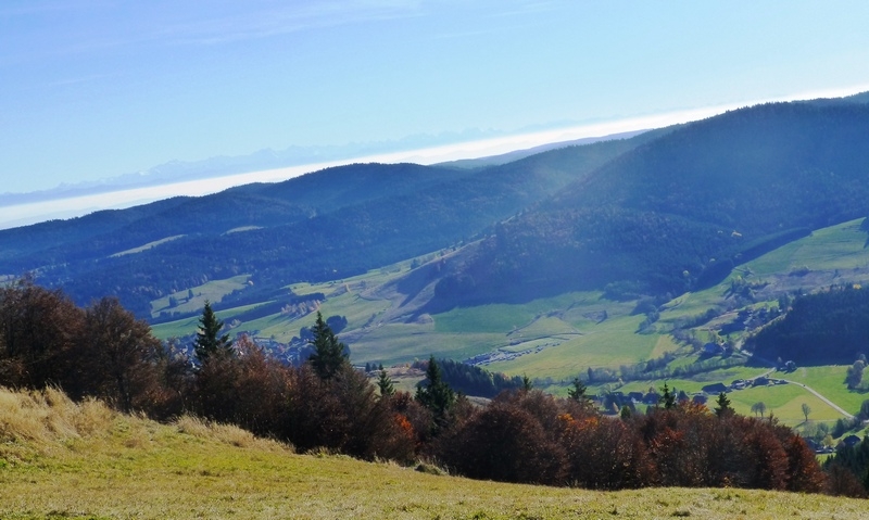 Im Südschwarzwald bei Bernau