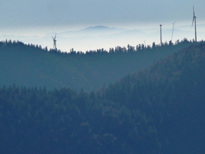 Im Südschwarzwald bei Bernau