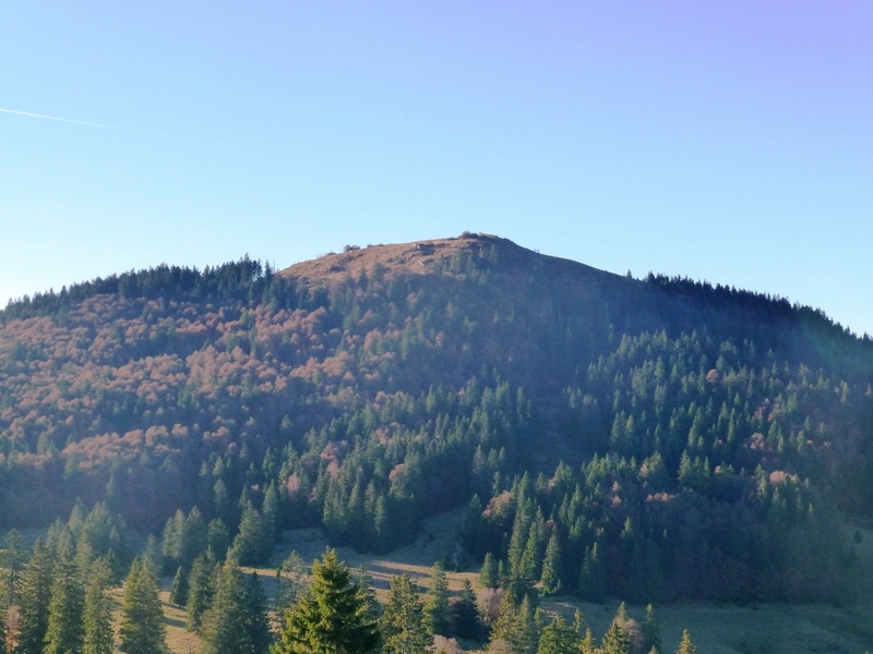 Herzogenhorn im Südschwarzwald