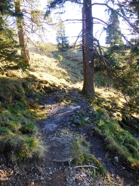 Wanderweg zur Krunkelbachhütte