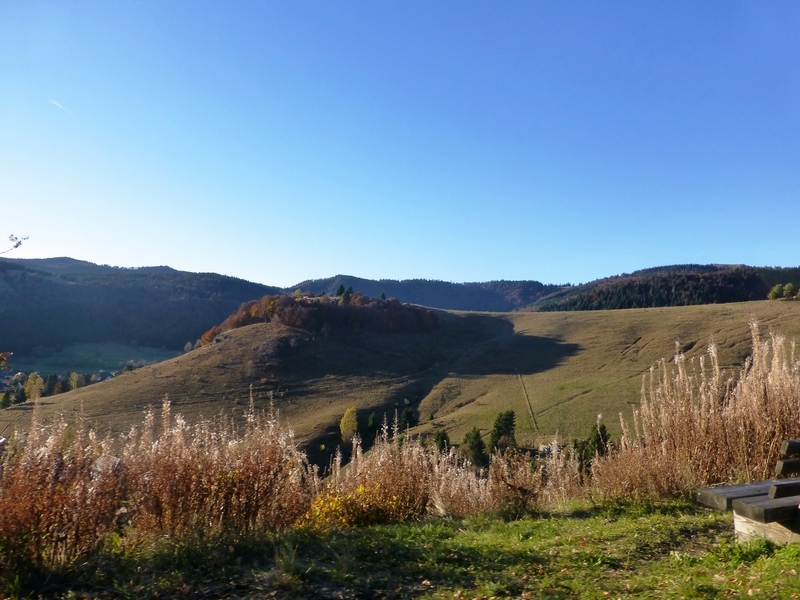 Schiibefelse bei Bernau - Hochtalsteig